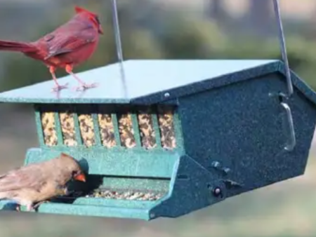 Audubon Original Bird’s Delight Squirrel-Resistant Feeder Online now